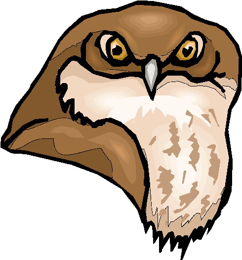 Owls clip art