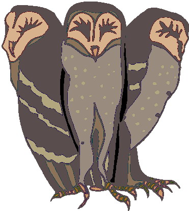 Owls clip art