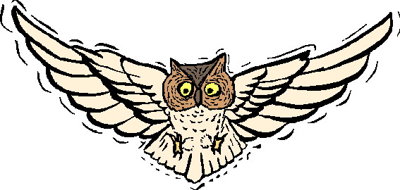 Owls clip art