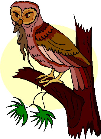 Owls clip art