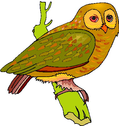 Owls clip art