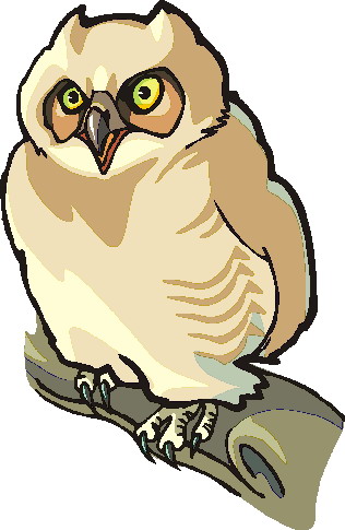 Owls clip art