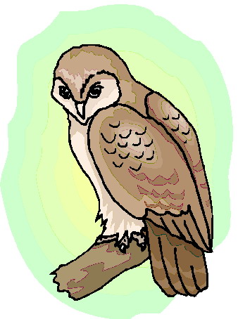 Owls clip art