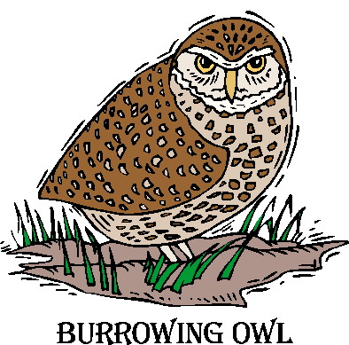 Owls clip art