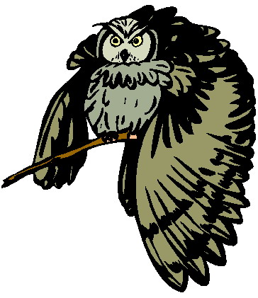 Owls clip art