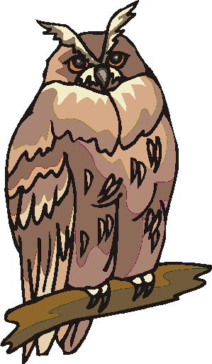 Owls clip art