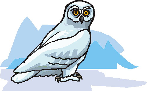 Owls clip art