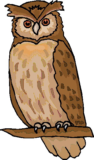 Owls clip art