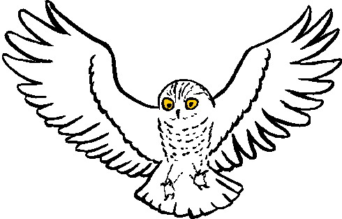 Owls clip art