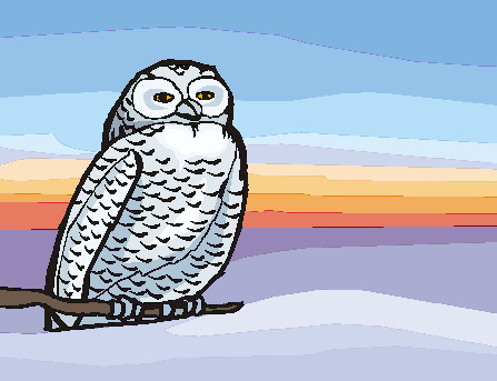 Owls clip art