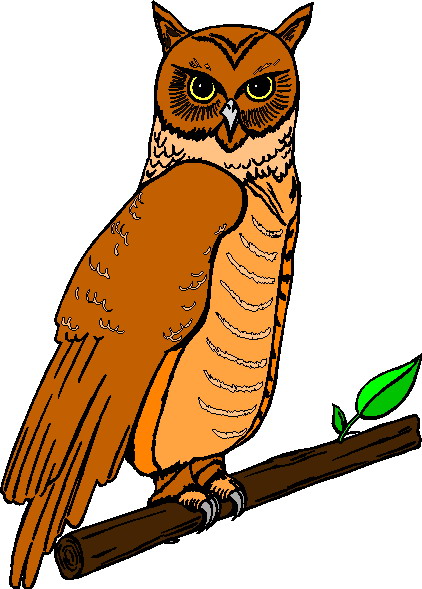 Owls clip art