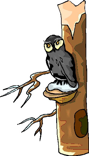 Owls clip art