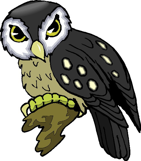 Owls clip art