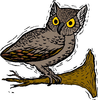 Owls clip art