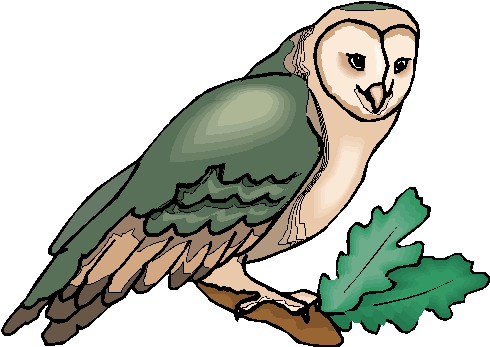 Owls clip art