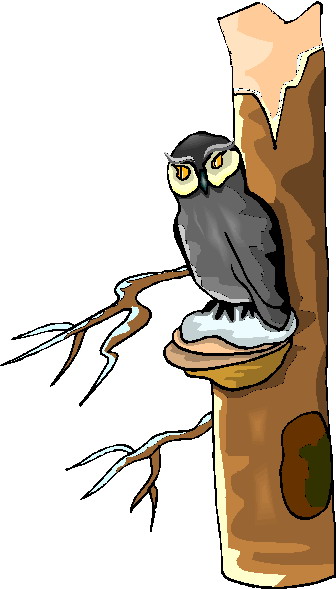 Owls clip art