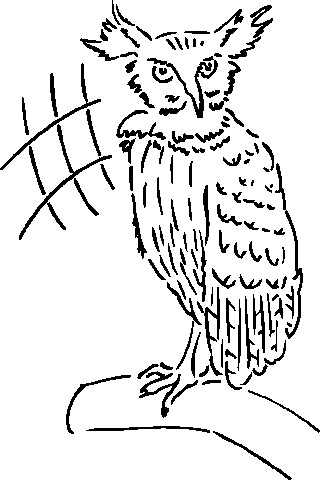 Owls clip art