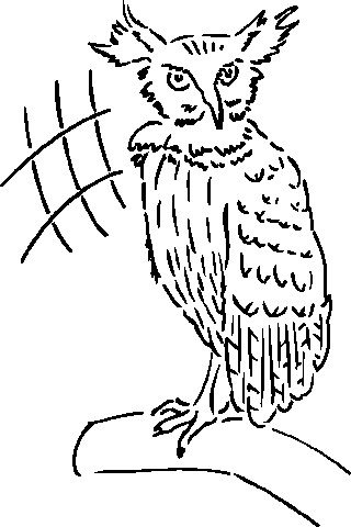 Owls clip art