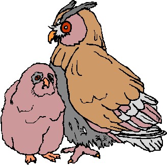 Owls clip art