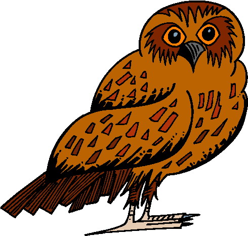 Owls clip art