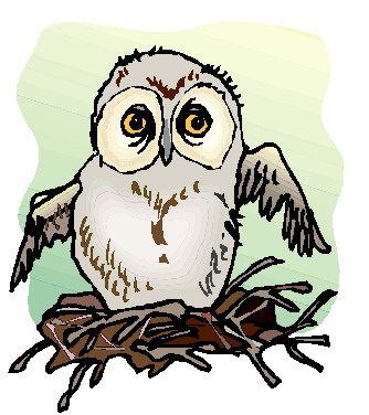 Owls clip art