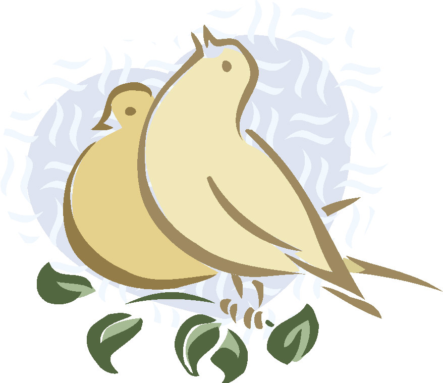 Pigeons clip art