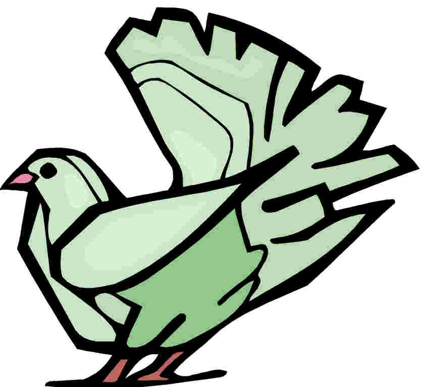 Pigeons clip art