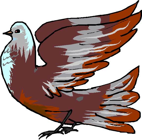 Pigeons clip art