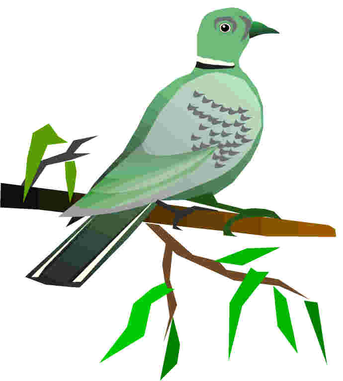 Pigeons clip art