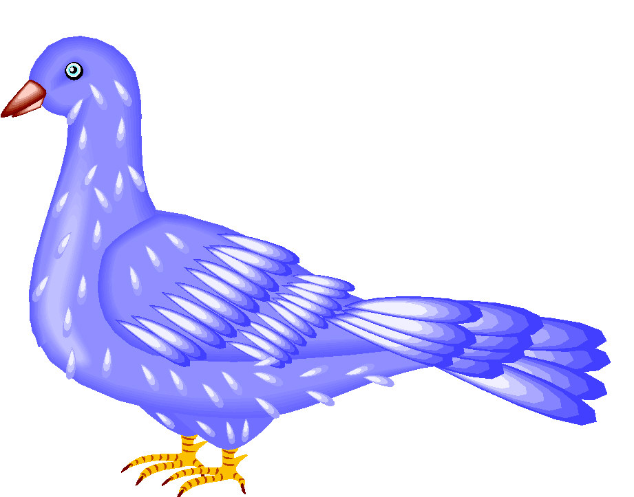 Pigeons clip art