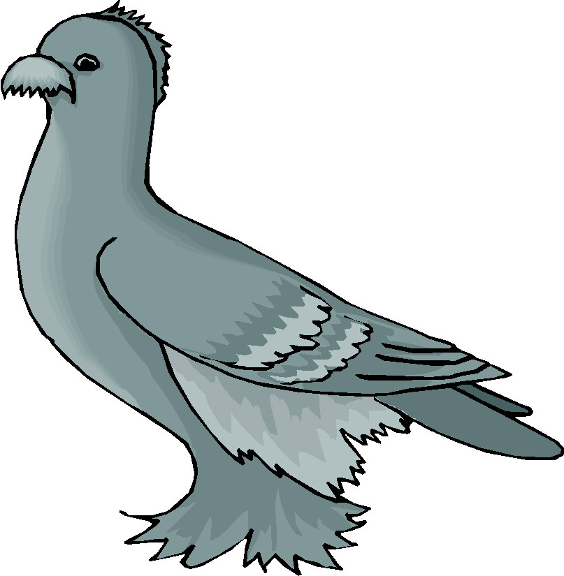 Pigeons clip art