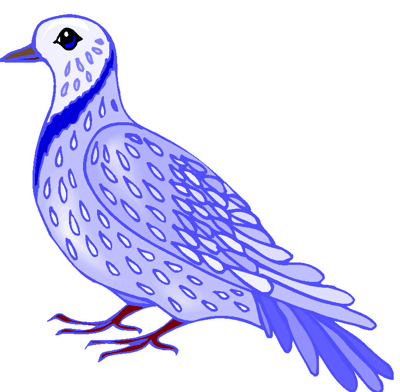 Pigeons clip art