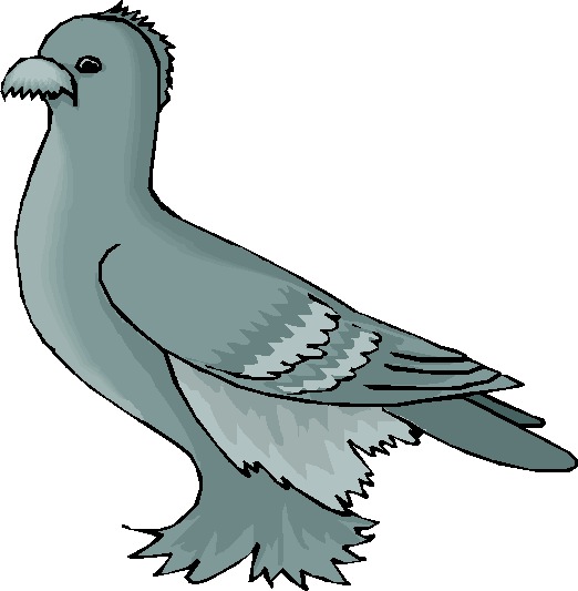 Pigeons clip art