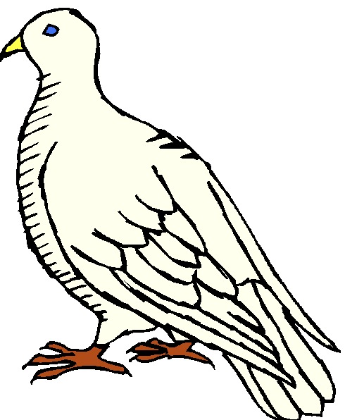 Pigeons clip art