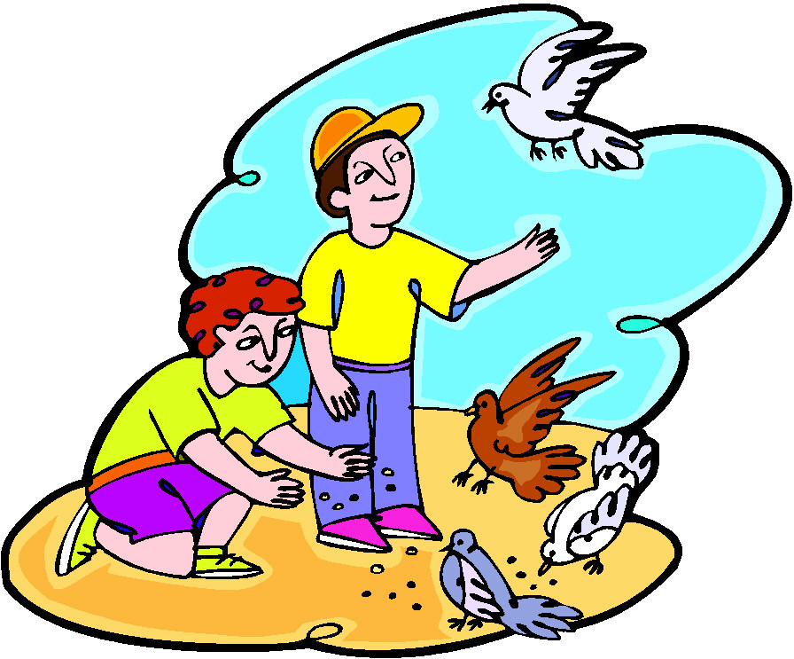 Pigeons clip art