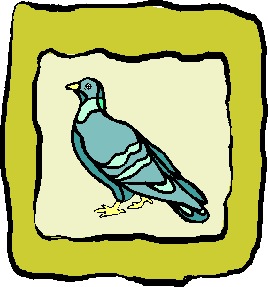 Pigeons clip art