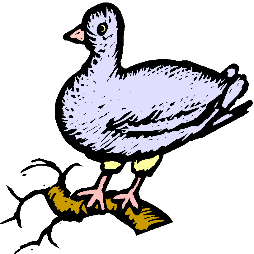 Pigeons clip art