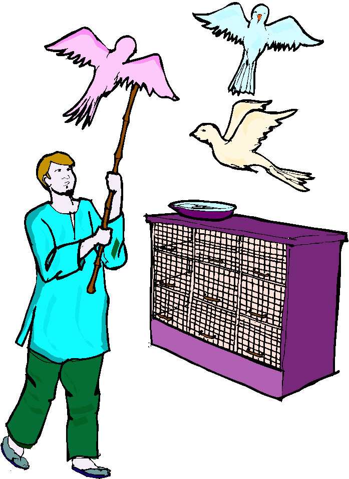 Pigeons clip art