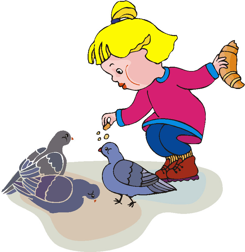 Pigeons clip art