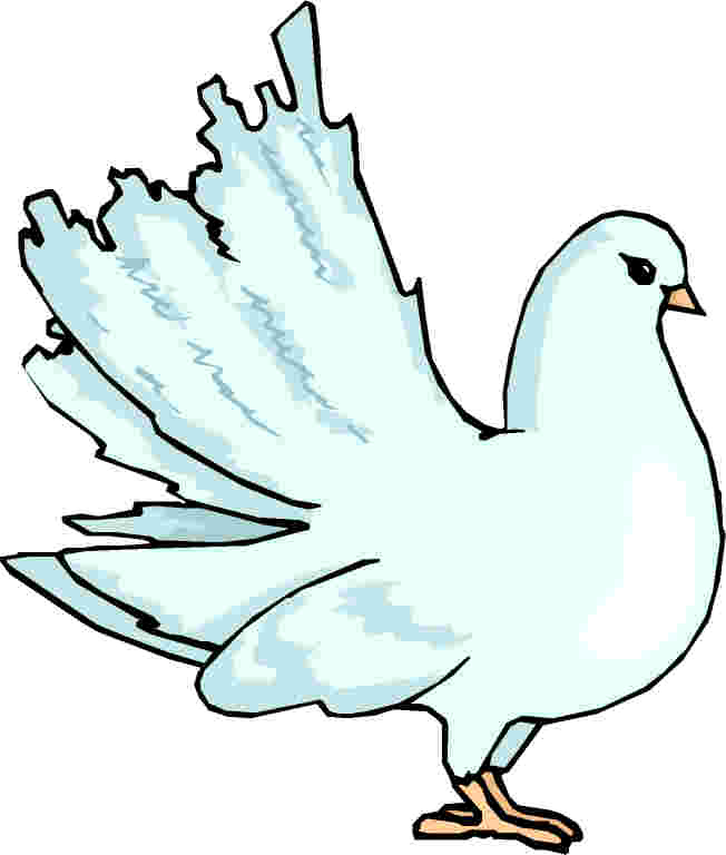 Pigeons clip art