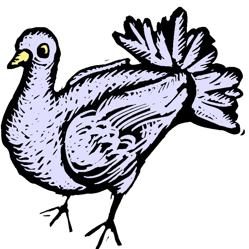 Pigeons clip art