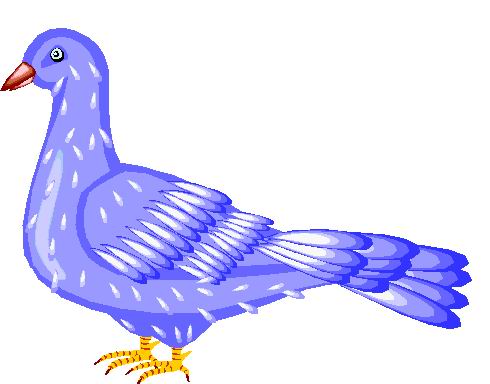 Pigeons clip art