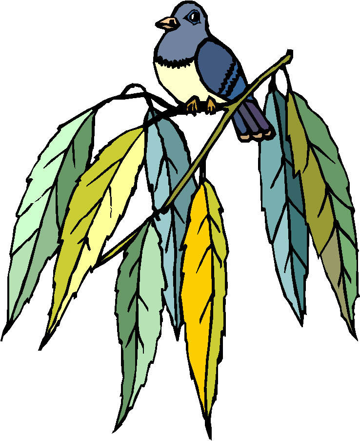 Pigeons clip art
