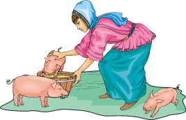 Pigs clip art