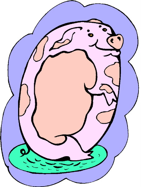 Pigs clip art