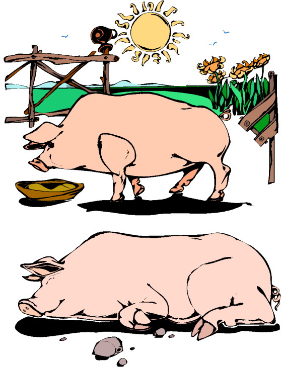 Pigs clip art