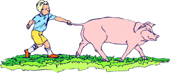 Pigs clip art