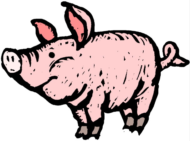 Pigs clip art