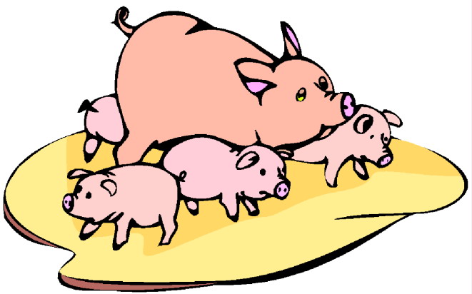 Pigs clip art