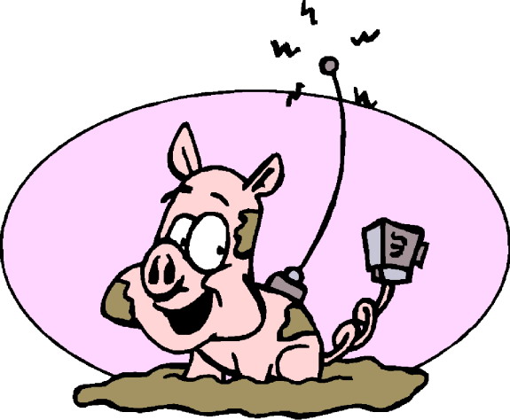 Pigs clip art